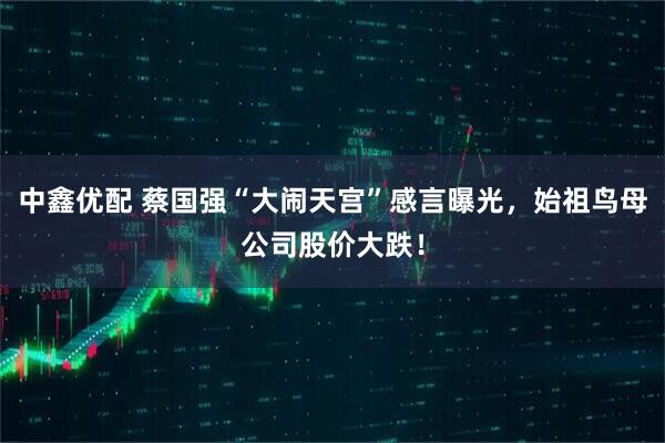 中鑫优配 蔡国强“大闹天宫”感言曝光，始祖鸟母公司股价大跌！