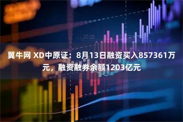 翼牛网 XD中原证：8月13日融资买入857361万元，融资融券余额1203亿元