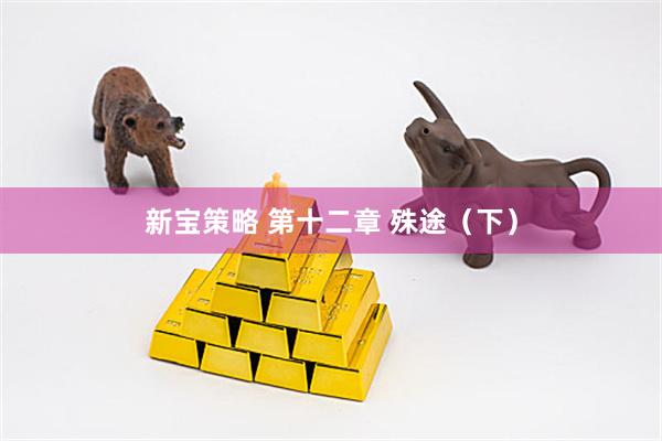 新宝策略 第十二章 殊途（下）
