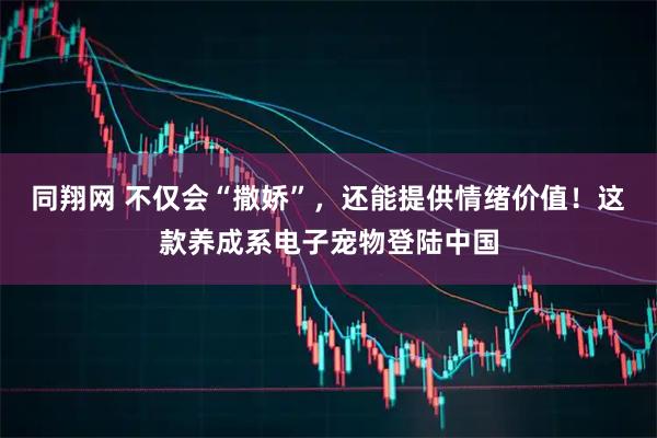 同翔网 不仅会“撒娇”，还能提供情绪价值！这款养成系电子宠物登陆中国