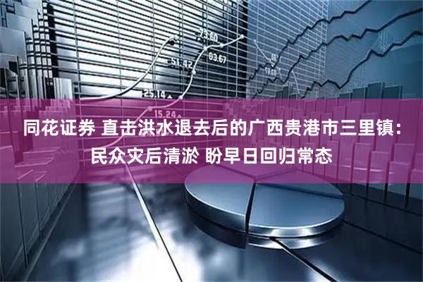同花证券 直击洪水退去后的广西贵港市三里镇：民众灾后清淤 盼早日回归常态